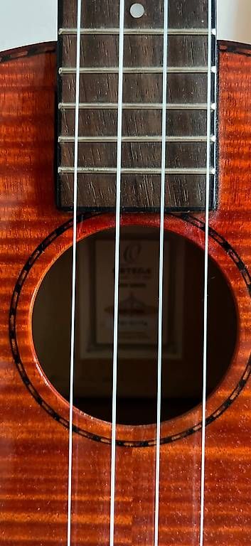 Strumenti musicali: Ortega Ukulele Tenor – Usato da Bern venduto da rae_j7b6 2