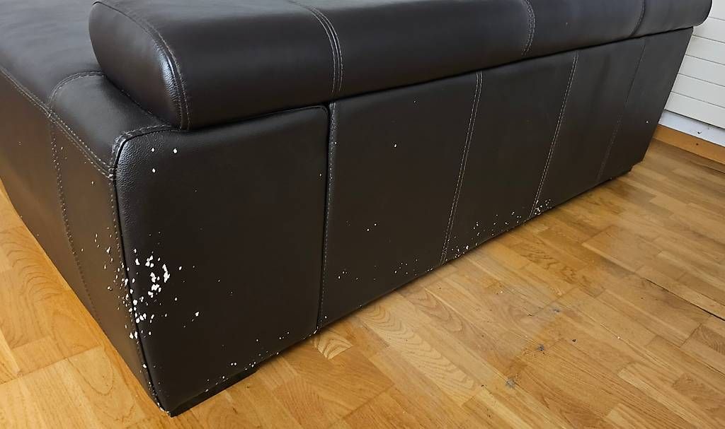 Divani: Schõnes Designer Ledersofa 2teilig Ecksofa – Usato da Morschach venduto da hof_kp5g 3