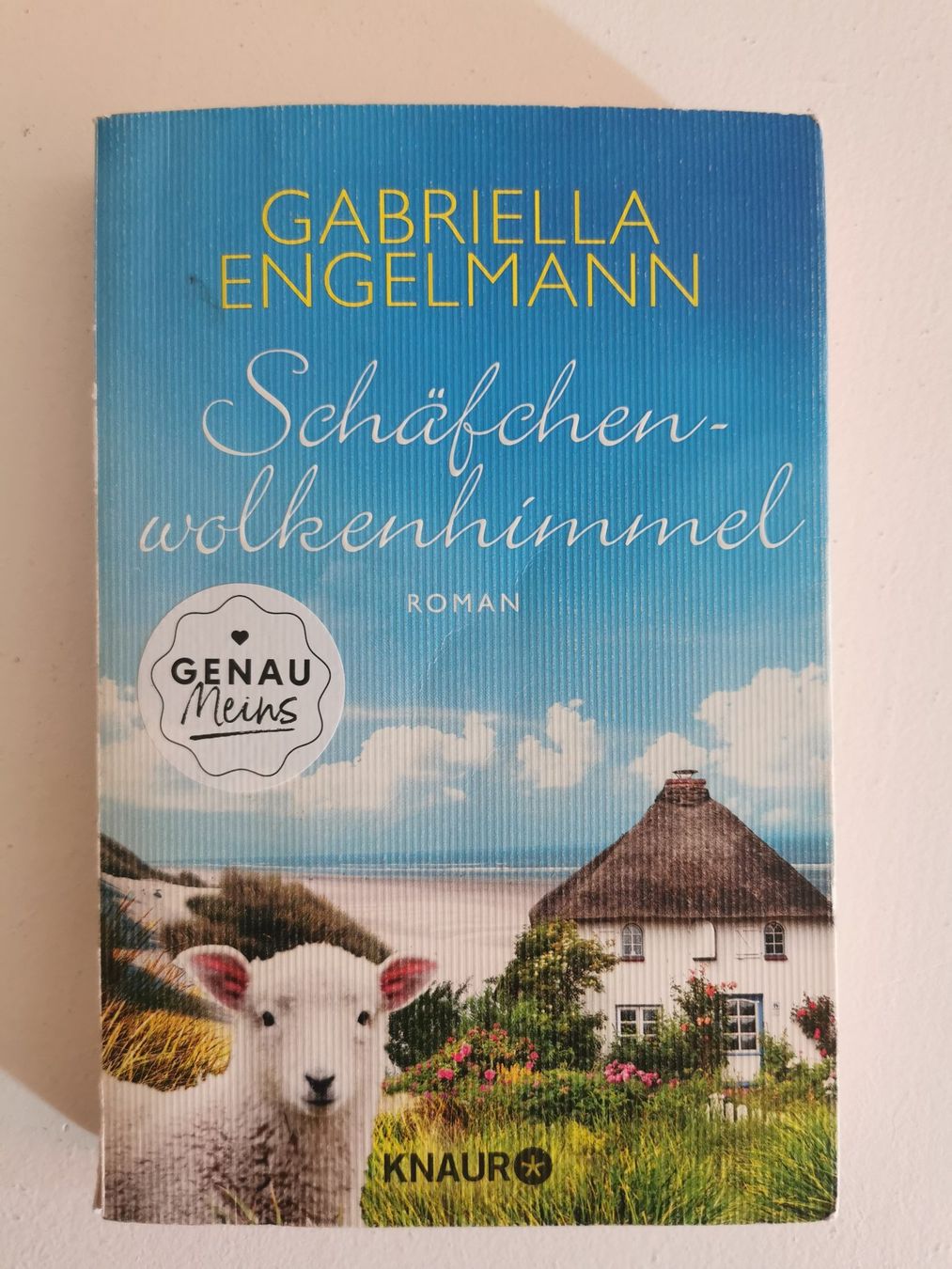 Bücher: Verschiedene Romane – Gebraucht aus bern von jeannie2006 4
