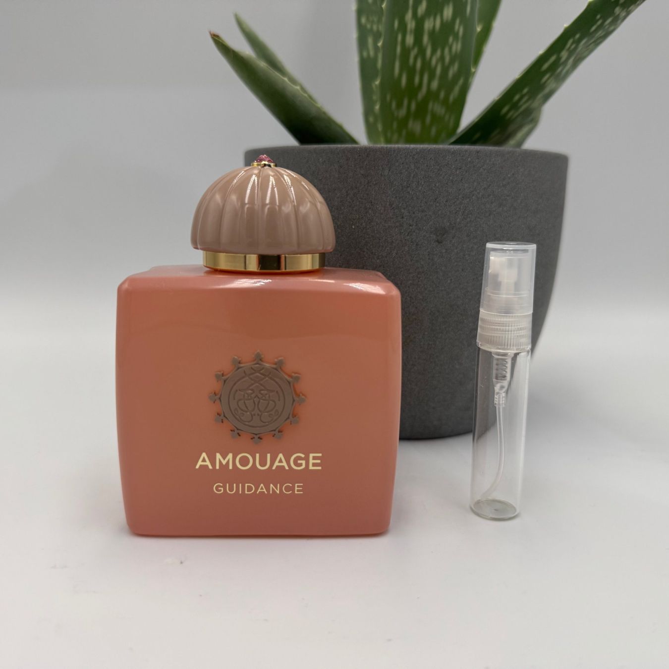 Amouage Profumi & Eau de Toilette: Amouage Guidance / Probe 3ml – Nuovo (secondo la descrizione) da Zürich venduto da edelproben