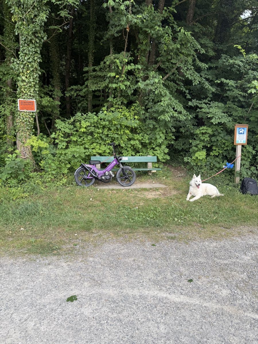Tomos Cyclomoteurs: Tomos – D'occasion à Dozwil par dav_jn65 8