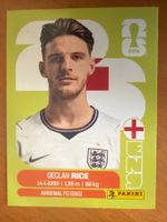 Panini ENG10