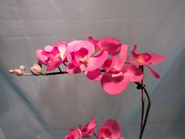 Phalaenopsis, rosa , im Topf, IKEA, 60cm