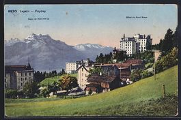 Leysin-Feydey, Hotel du Mont Blanc et De