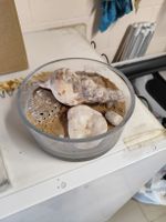 Glasschale mit Muscheln und Steinen als Dekoration 
