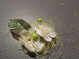 Blumen weiss / Blatt