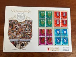 FDC Grossbrief Pro Juventute Viererblock 1981 ET  (F114)