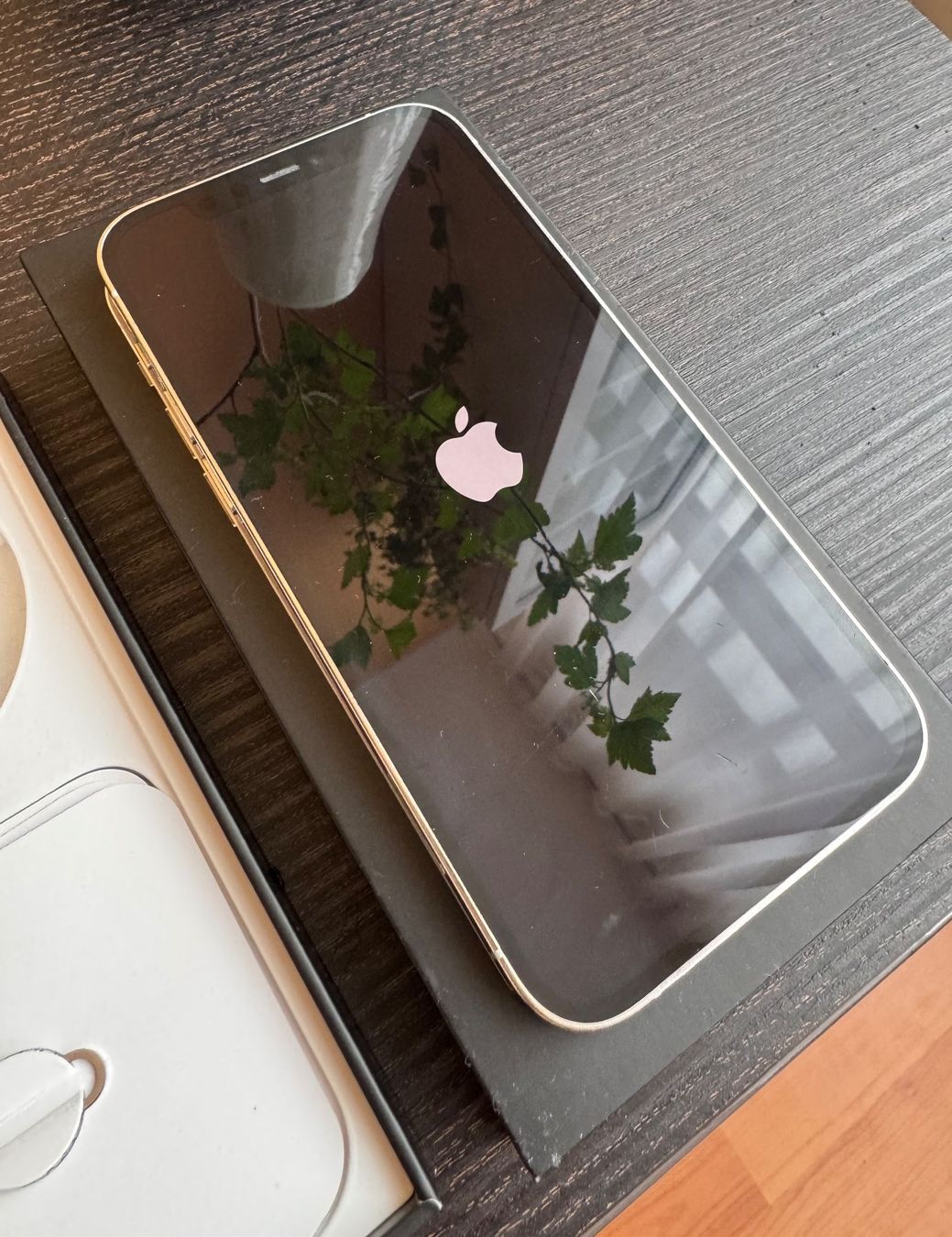Apple Telefoni cellulari / Smartphones: Iphone 12Pro 128GB – Usato da Montagnola venduto da Vol24