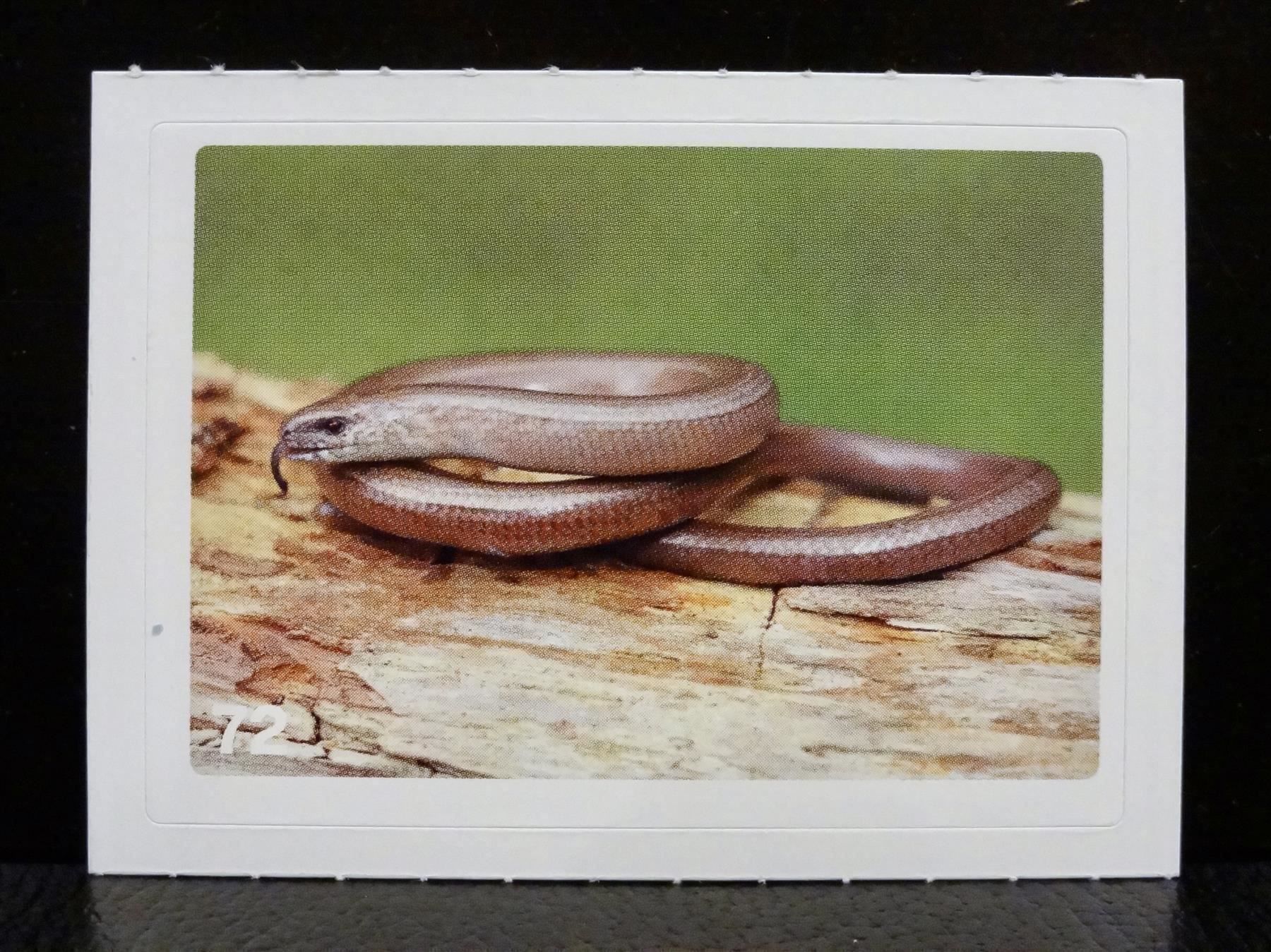 Migros Carte collezionabili: MIGROS MANIA Nature Detectives Nr. 72 – Usato da Kerzers venduto da zimmergruen