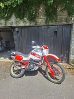 Yamaha xt600z 1vj tenere, ab MFK, Arrow+Wilbers