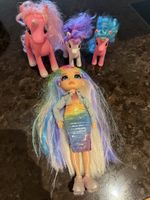 Rainbow High