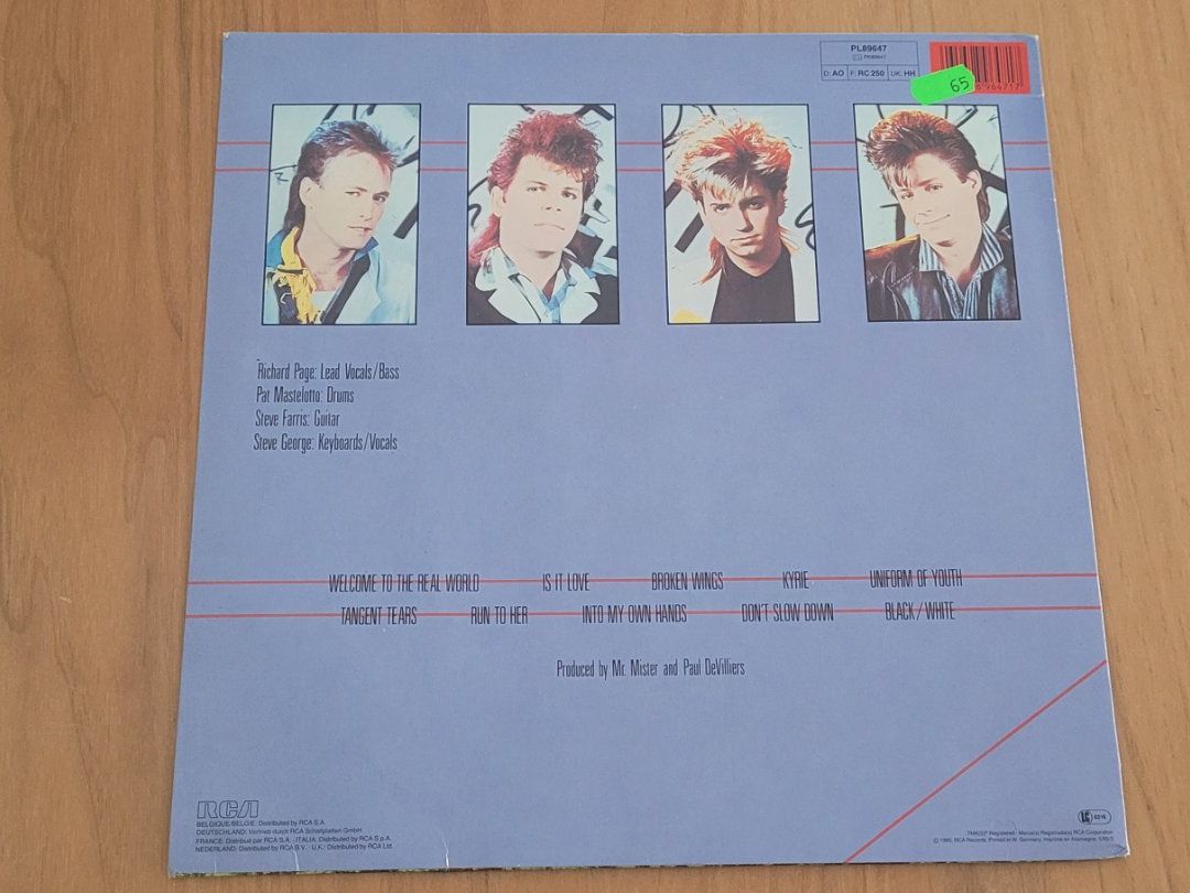 Vinyles: LP  Mr. Mister – D'occasion à Martigny par MZ-67 1