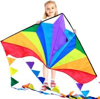 Kinder Drache Wind Spass Spiel Outdoor Geschenk