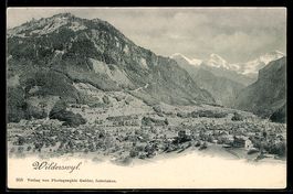 AK Wilderswyl, Ortsansicht im Tal mit Bergen