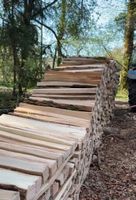 Bois de feu
