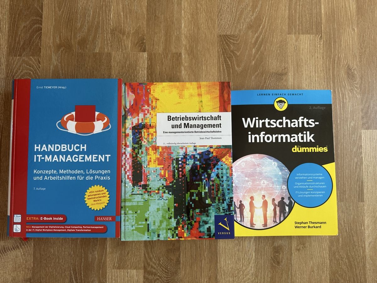 Libri: Set IT-Management/Wirtschaftsinformatik-Bücher, top! – Usato da Port venduto da Jenny_baertschi