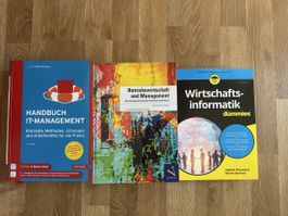 Set IT-Management/Wirtschaftsinformatik-Bücher, top!