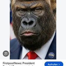 Profile image of the_real_donald