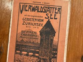 Karte Vierwaldstätter See Zurich Berner Oberland Carte antik