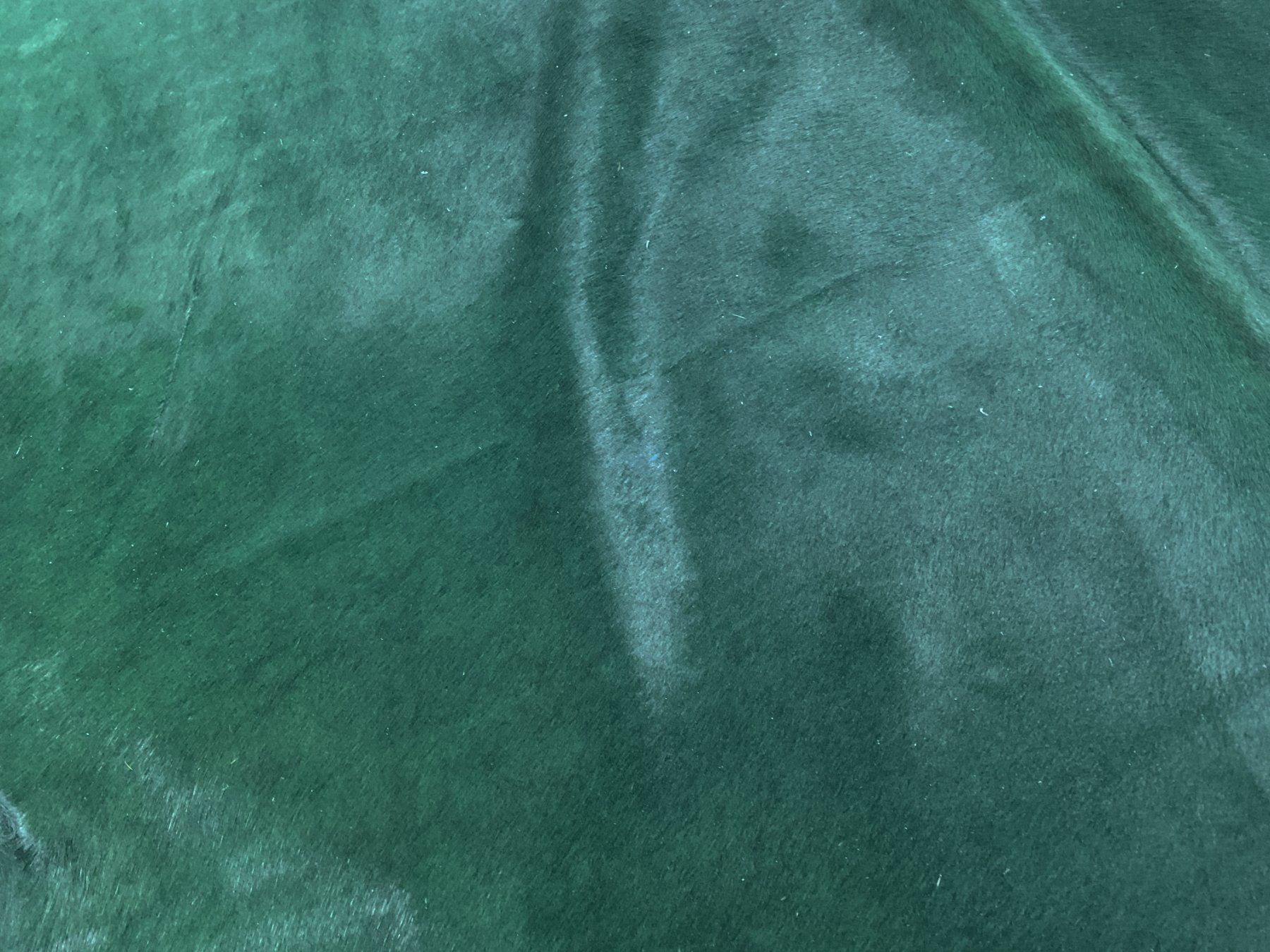 Tappeti: echtes Kuhfell Teppich Green – Nuovo e nell'imballaggio originale da Arbedo venduto da patagonialeatherrugs 2