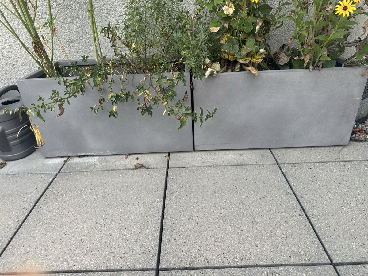 Blumentöpfe: 2 Blumentöpfe – Gebraucht aus Buchs ZH von jil_p79h
