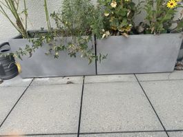 2 Blumentöpfe