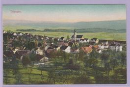 Triengen LU    :    alte Ansichtskarte  von 1911