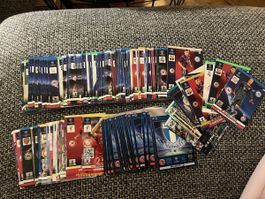 141 Panini Karten