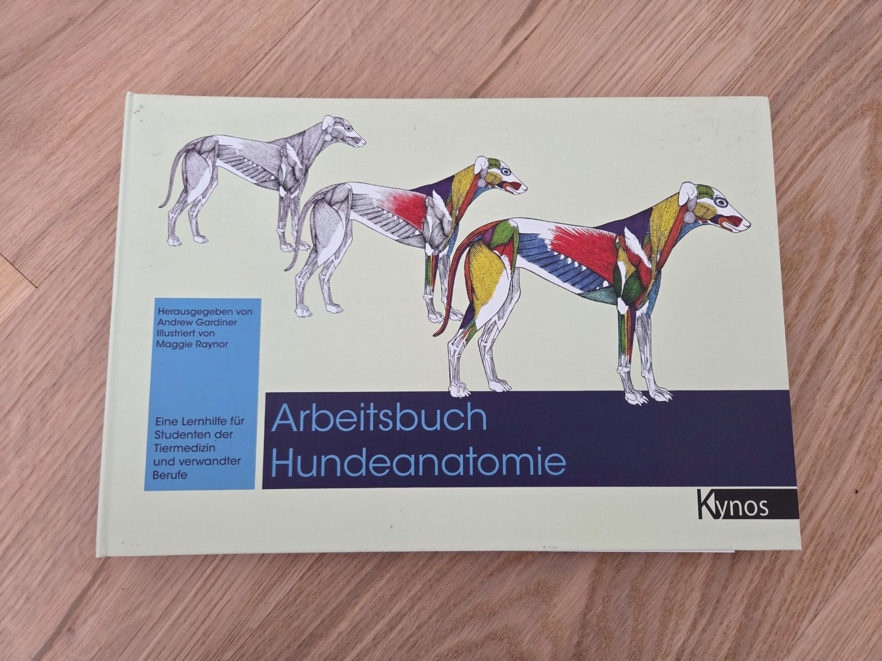 Bücher: Arbeitsbuch Hundeanatomie – Neu (gemäss Beschreibung) aus Burgdorf von Talora