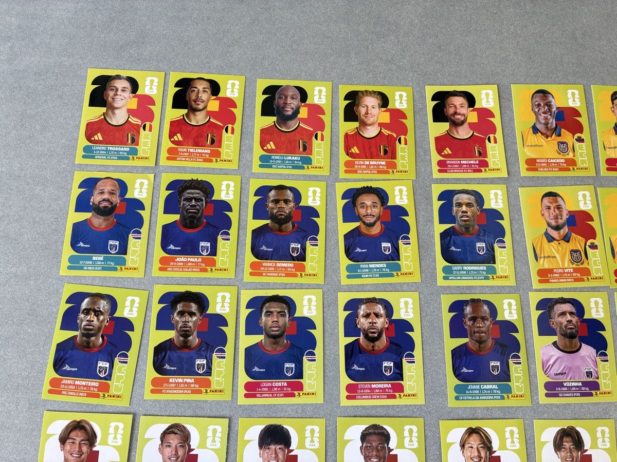 Panini Carte collezionabili: Panini WM 2026 Sticker Konvolut – Usato da Emmen venduto da paesu6 4