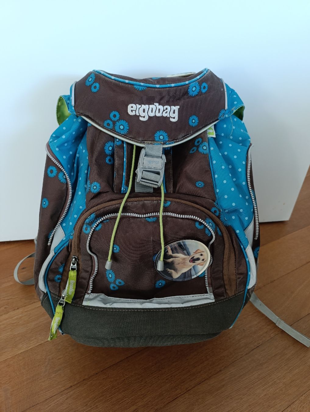Ergobag Borse & Zaini: Ergobag Schulrucksack, gut erhalten – Usato da Olten venduto da Ellybis1977