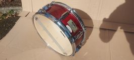 Mapex M Series holz snare 14x6" ab service mit neue fell