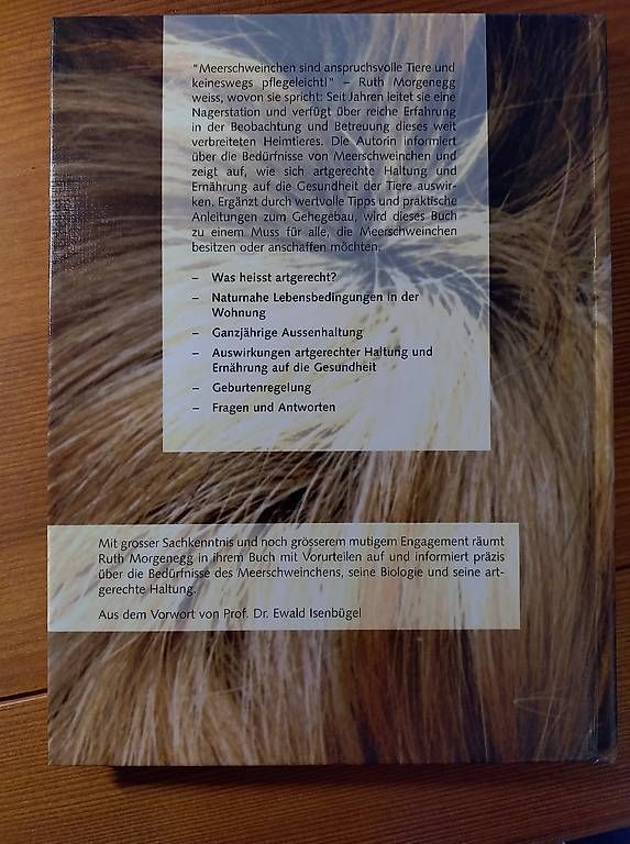 Libri: Meerschweinchen - korrekte Haltung  – Usato da Buttwil venduto da Mafu71 1