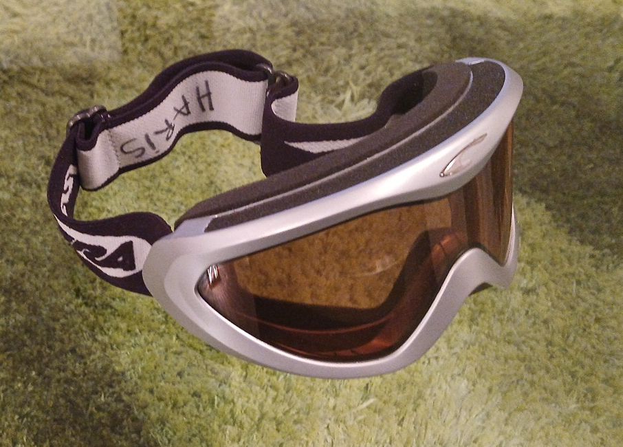 Carrera Brillen & Gläser: Carrera Ski- Snowboardbrille Silber S / M – Gebraucht aus Spreitenbach von rab2000 1