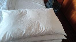 Ikea Daunen Kissen 65*100 cm