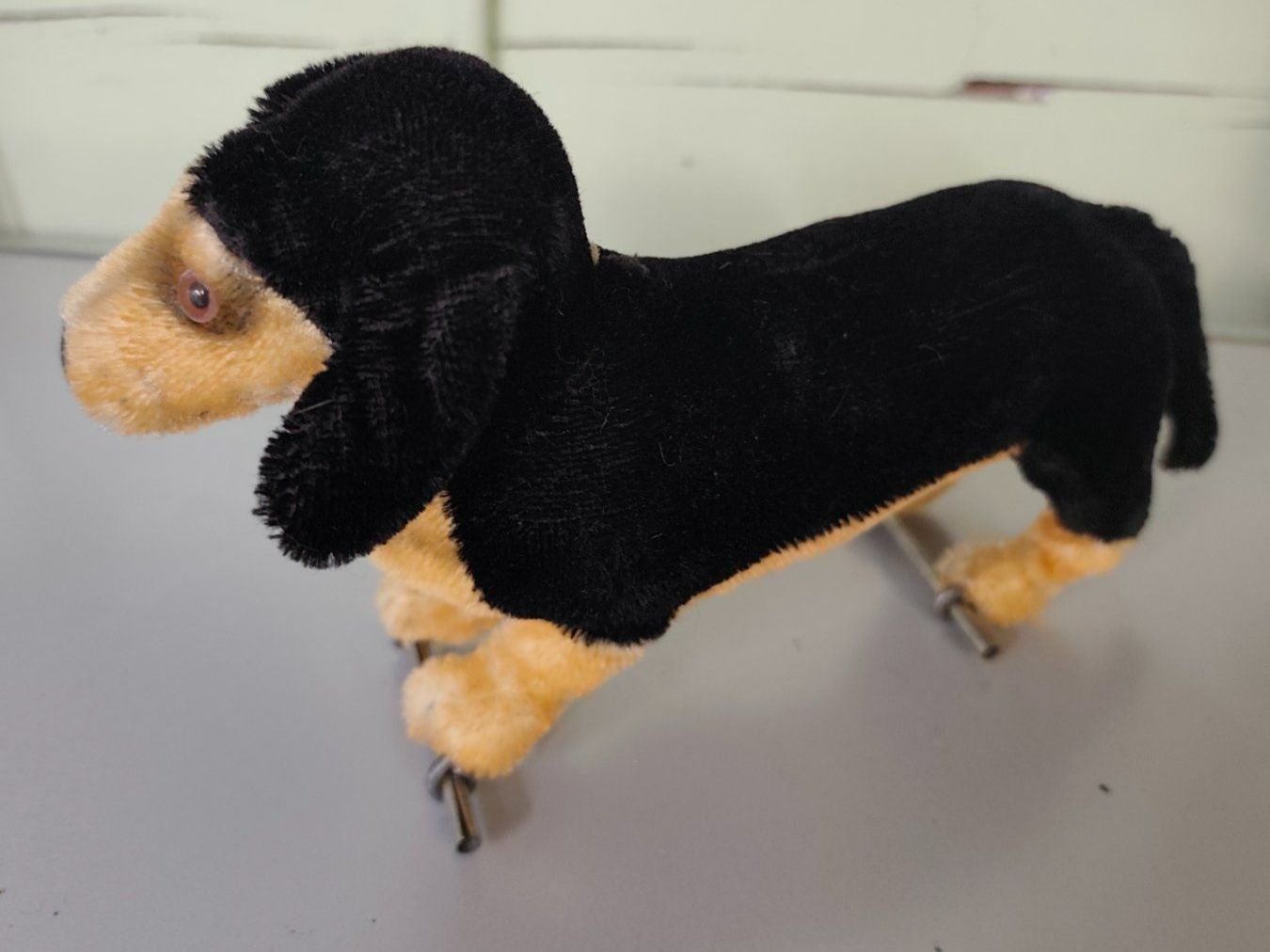 Steiff Giocattoli: Stofftier Steiff Dackel Hund – Usato da Goldswil b. Interlaken venduto da troedlermarkt-goldsw 2