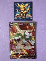 Pokemon Chesnaught V Fullart