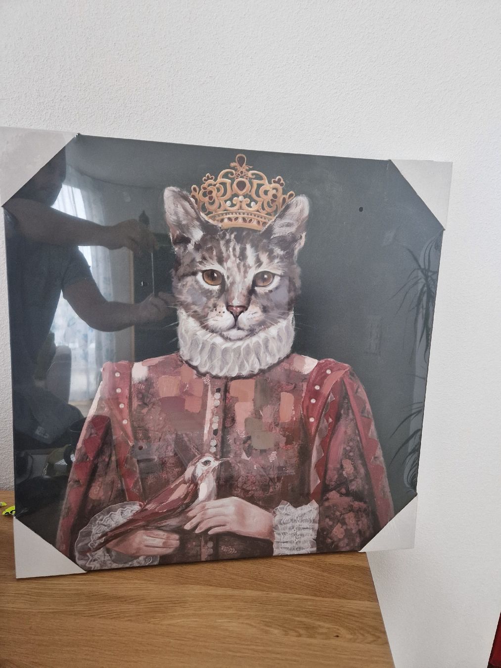Foto & Immagini: Edles Leinwandbild Katze mit Krone 60x60cm – Nuovo e nell'imballaggio originale da Dübendorf venduto da Trekkie80