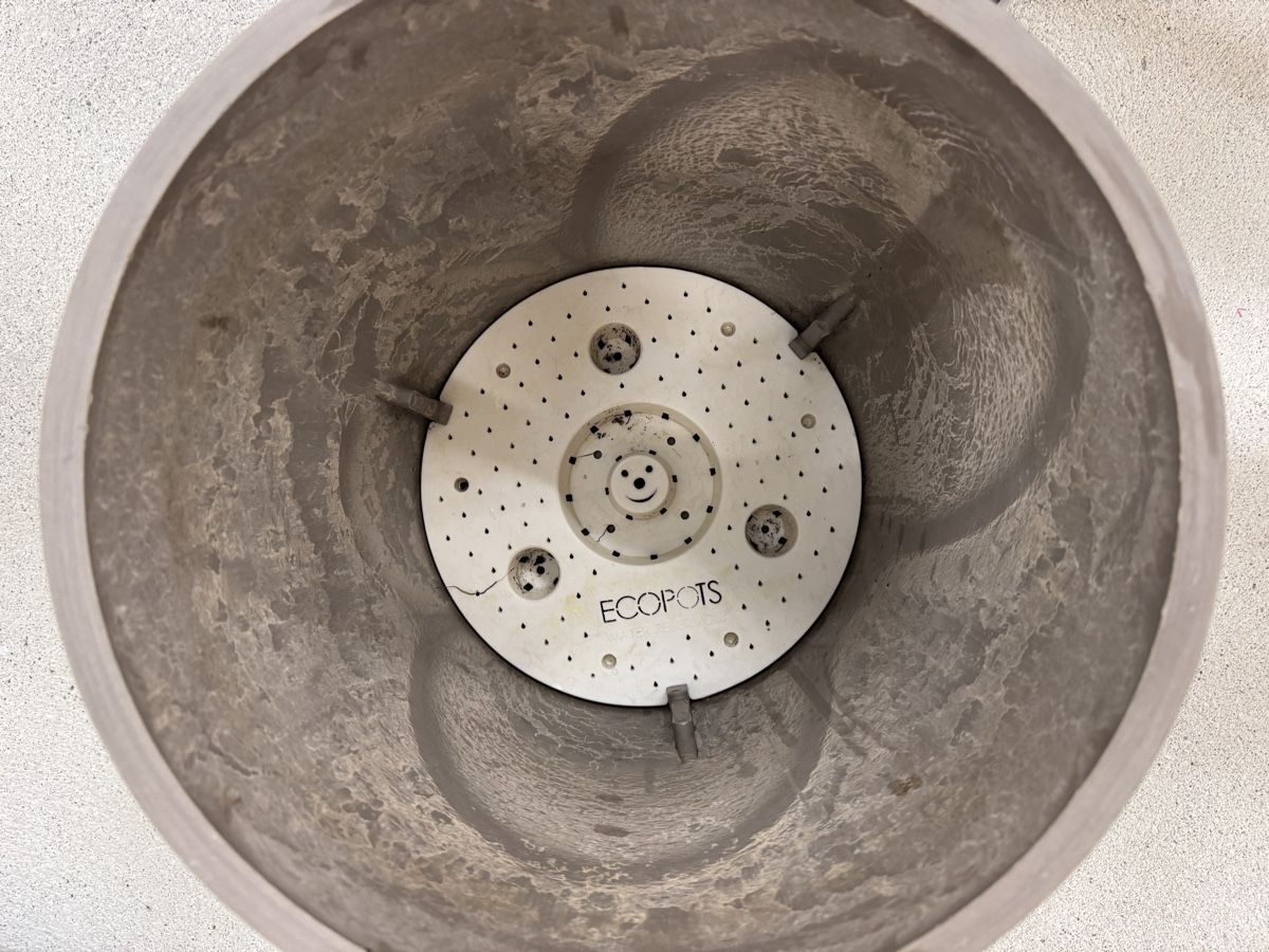 Blumentöpfe: Pflanztopf Pflanzentopf Blumentopf Ecopots D30 2 Stück – Gebraucht aus Dübendorf von vitrickson 5