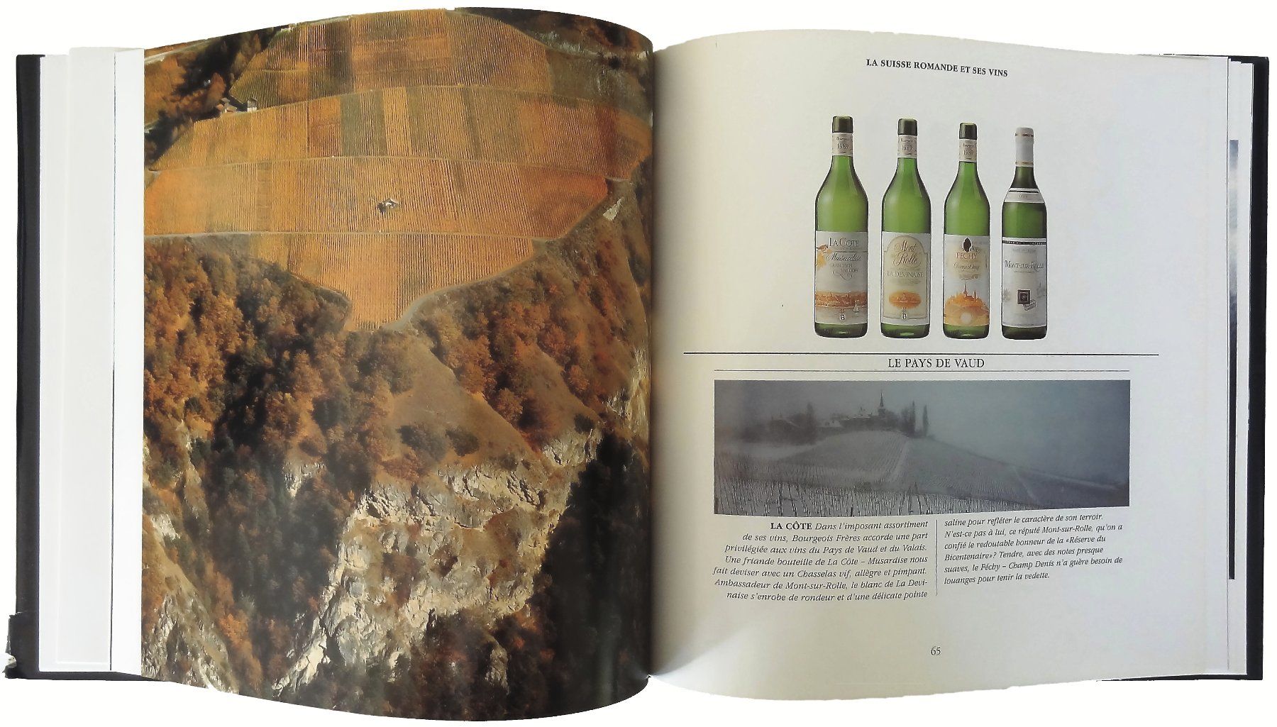 Libri: NOTRE UNIVERS - © 1990 "Le Vin" – Usato da Onex venduto da gonsla 4