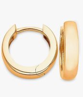 Creolen 375er Weißgold