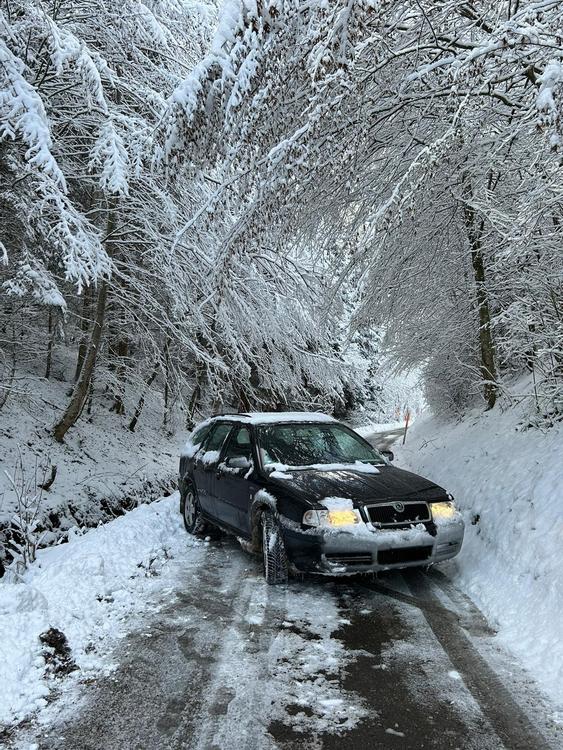 Skoda Octavia 1,9l tdi