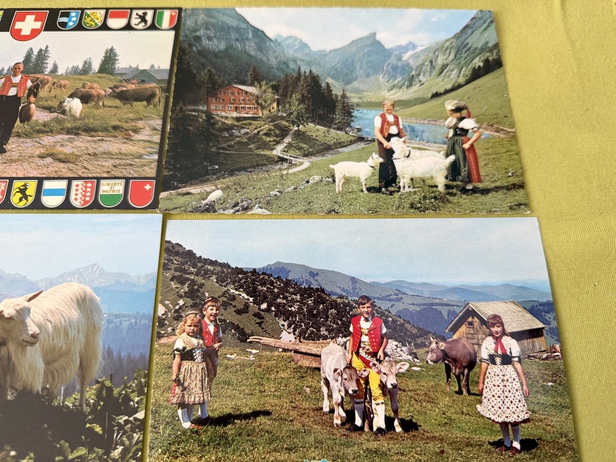 Cartoline postali: Konvolut Schweizer Ansichtskarten Berner Sennenhund Ziegen K – Nuovo (secondo la descrizione) da Libingen venduto da Wisli 3