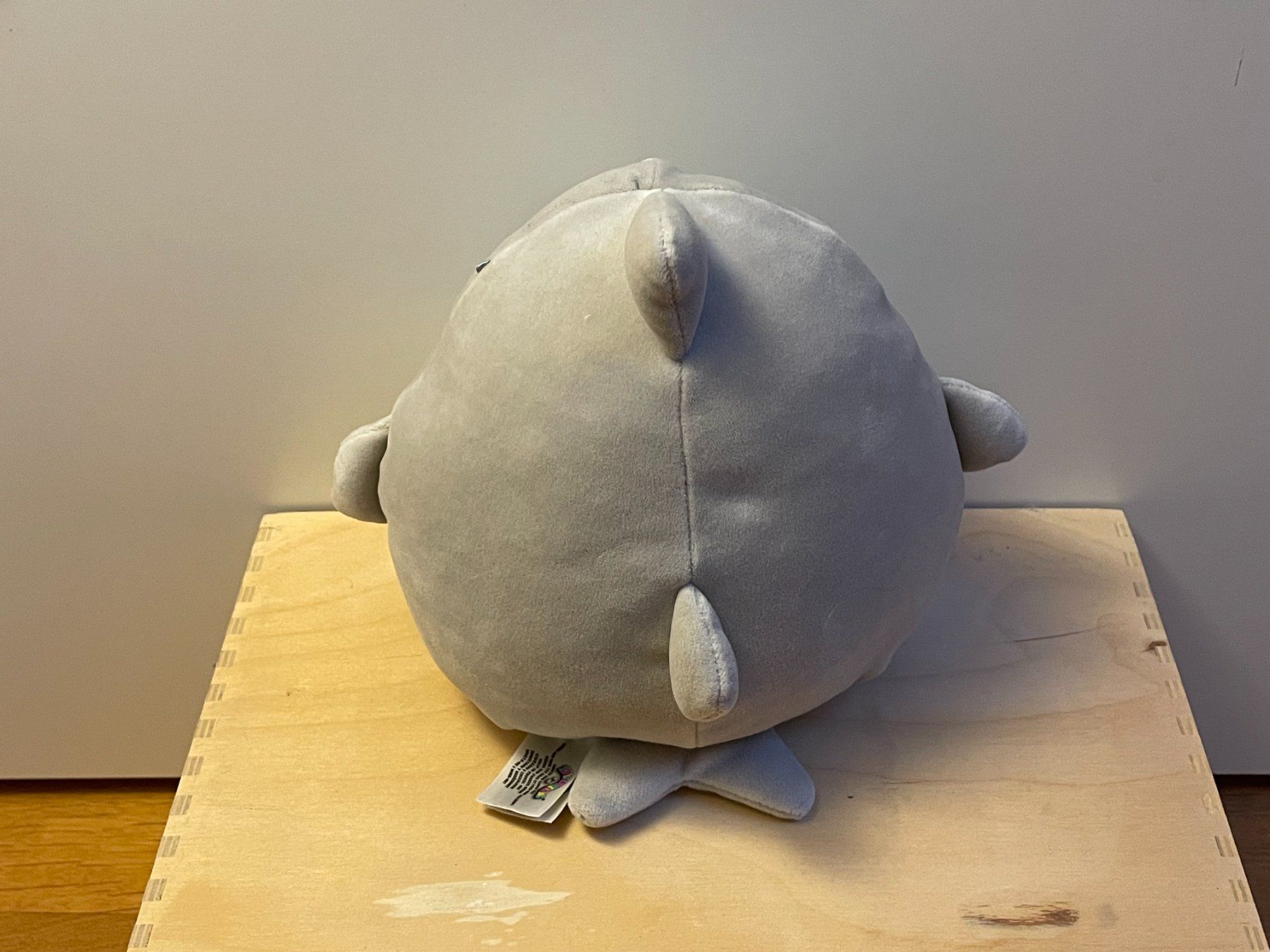 Squishmallows Giocattoli: Squishmallows Haifisch Gordon | 18 cm – Usato da Aarau venduto da Chicca2006 1