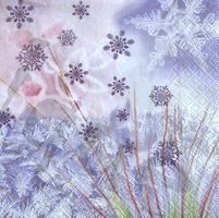 Serviette frozen crystals (w445) 2Stk.