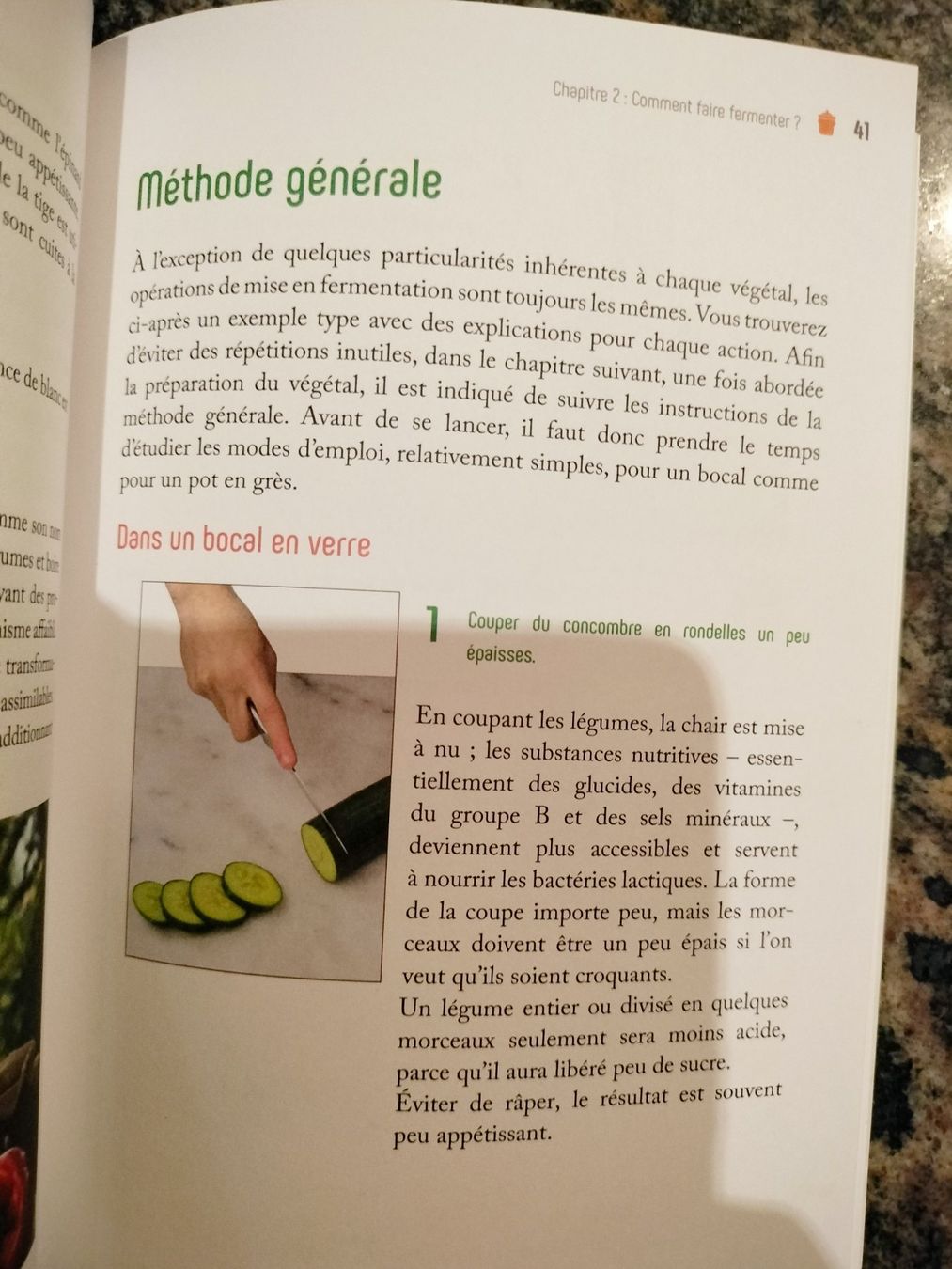 Livres: Prodigieuse lactofermentation avec des recettes – Neuf (Voir description) à Cortaillod par rozinna 8