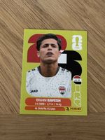 Panini 2026 IRQ 11
