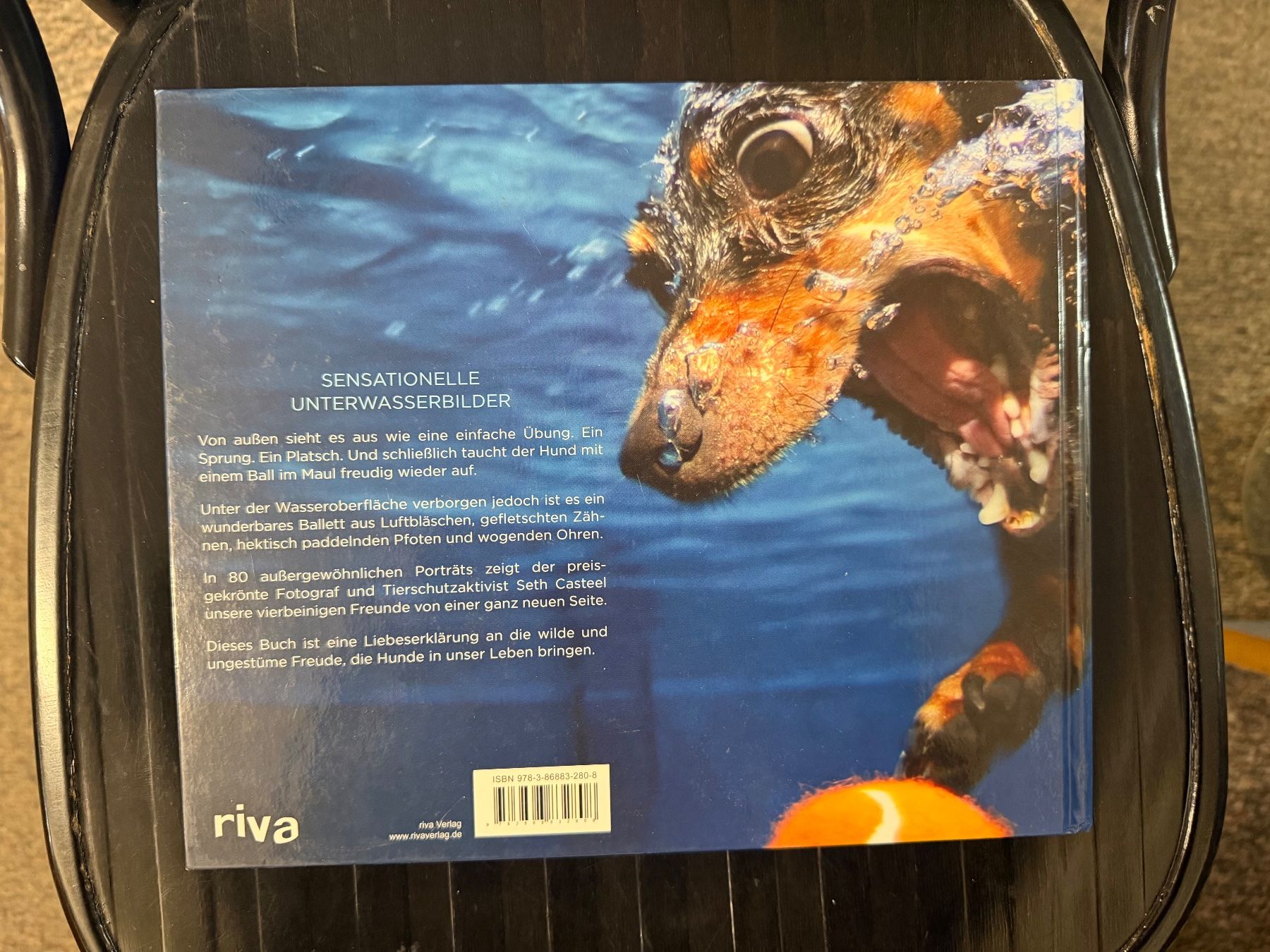 Livres: Hunde unter Wasser – D'occasion à Dietikon par Buchantiqdietikon 5