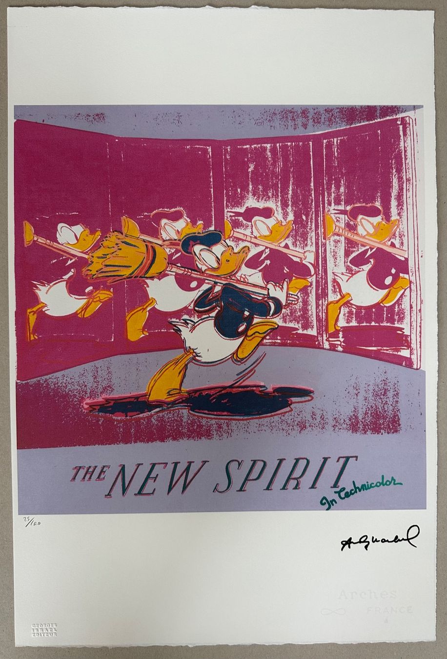 Foto & Immagini: Andy Warhol: Donald Duck, POP Art 25/100 – Nuovo (secondo la descrizione) da Meilen venduto da Smgdesign