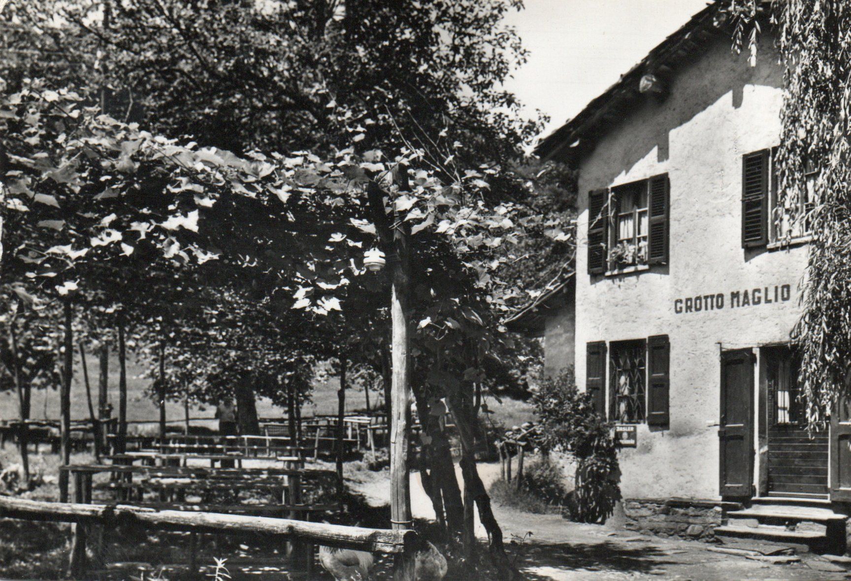 Cartoline postali: Canobbio - Grotto al Maglio – Nuovo (secondo la descrizione) da Melano venduto da pisonsdro